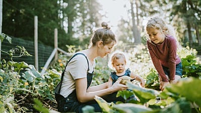 Organic Wild Animal Control: Repellents for Organic Gardening