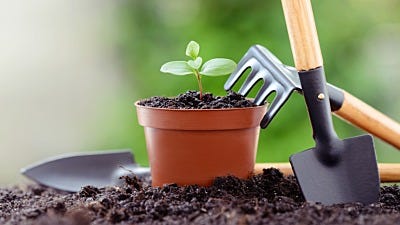 5 Simple, Must-have Tools for Indoor Gardening