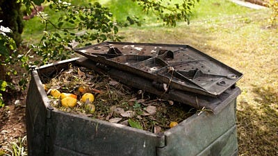 7 Reasons Why You Need To Compost