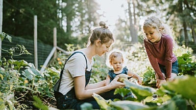 Child Friendly Gardens: Vegetable Gardens for Kids