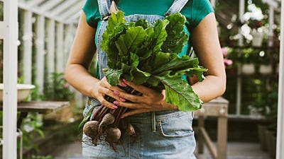 Grow More Big Buds Indoors