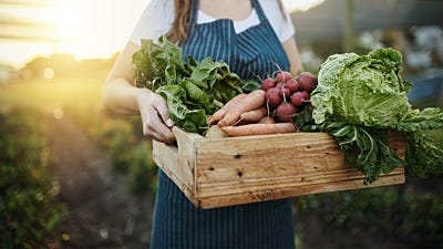 Harvesting for First-Time Gardeners