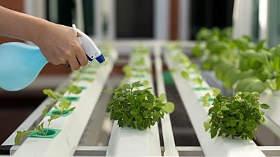 Homemade Solutions for Hydroponic Problems