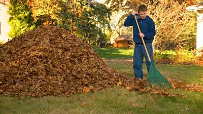 How to Prepare Your Lawn for Winter