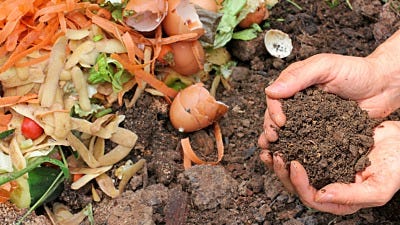 using compost to garden