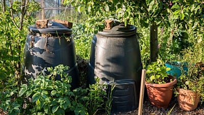 Compost Tea For Your Indoor Garden