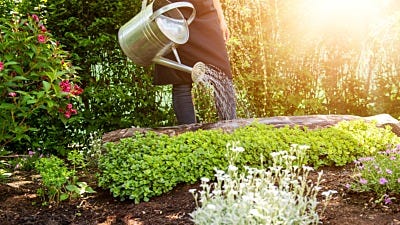 Do Good, Feel Good: Organic Gardening Benefits