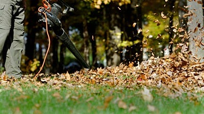 Fall Lawn Care Guide 