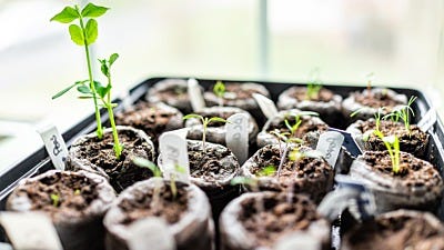 How To Use Nutrients In Your Indoor Garden