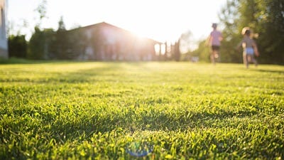 Organic lawn care: The Powerful Science of Organics