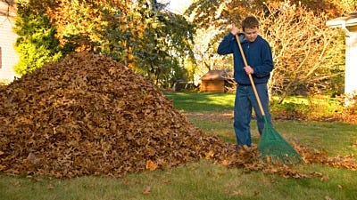 6 Simple Steps to Prepare Your Lawn For Winter