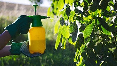 What is Insecticidal Soap?