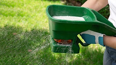 When to Fertilize Your Lawn