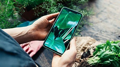 Your Smartphone Is A Hydroponic Tool