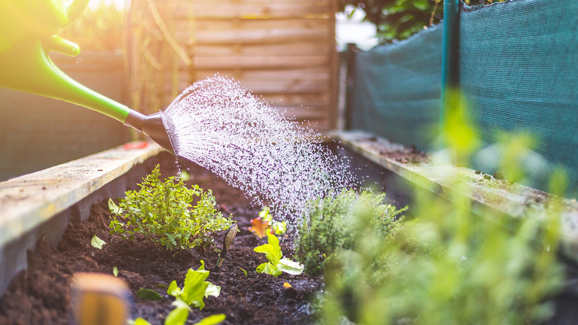 garden repellents