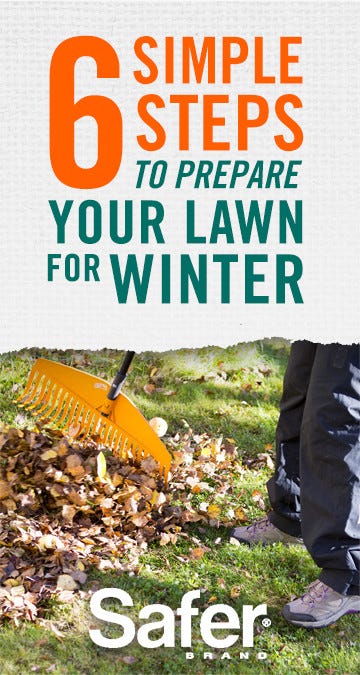 prepare yard for winter