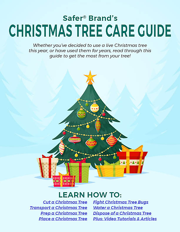 Feather Christmas Tree Care Guide