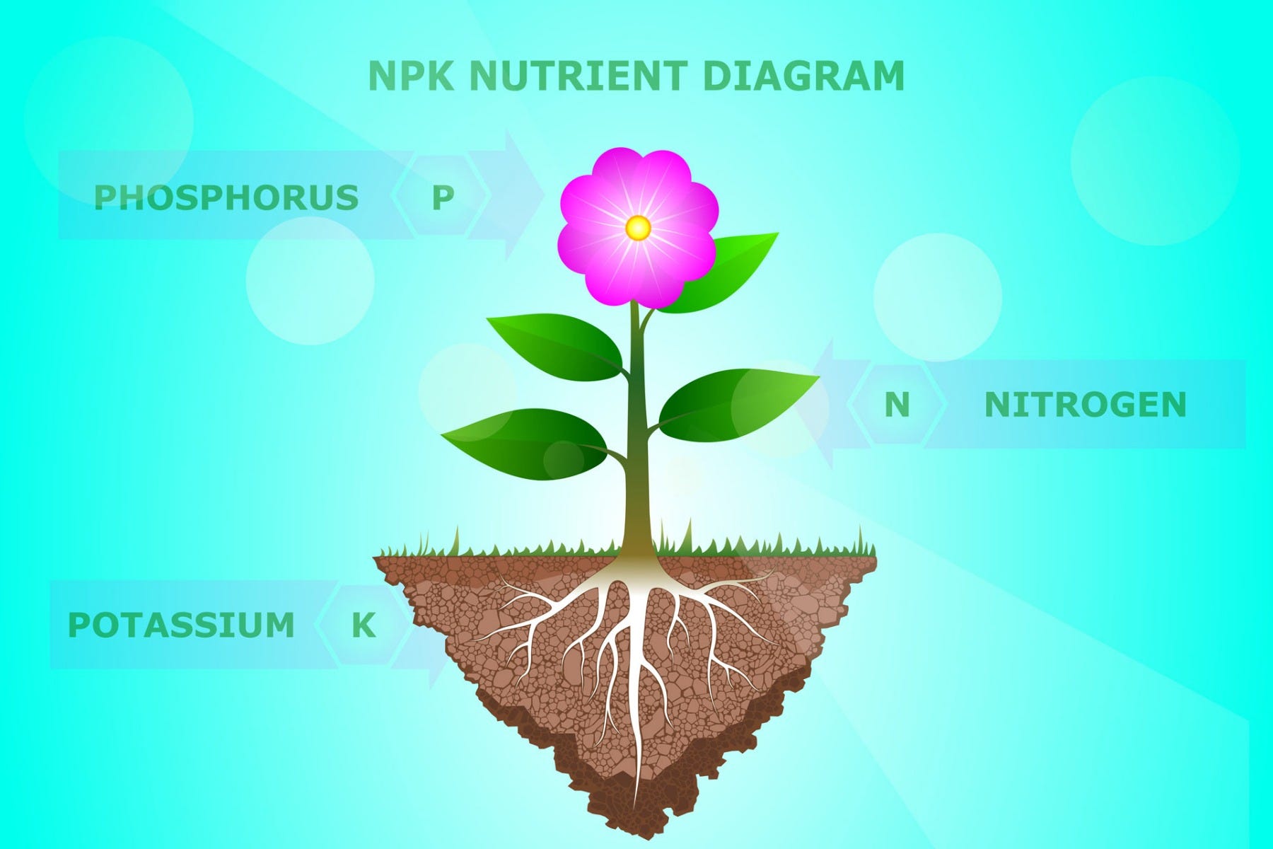 NPK meaning