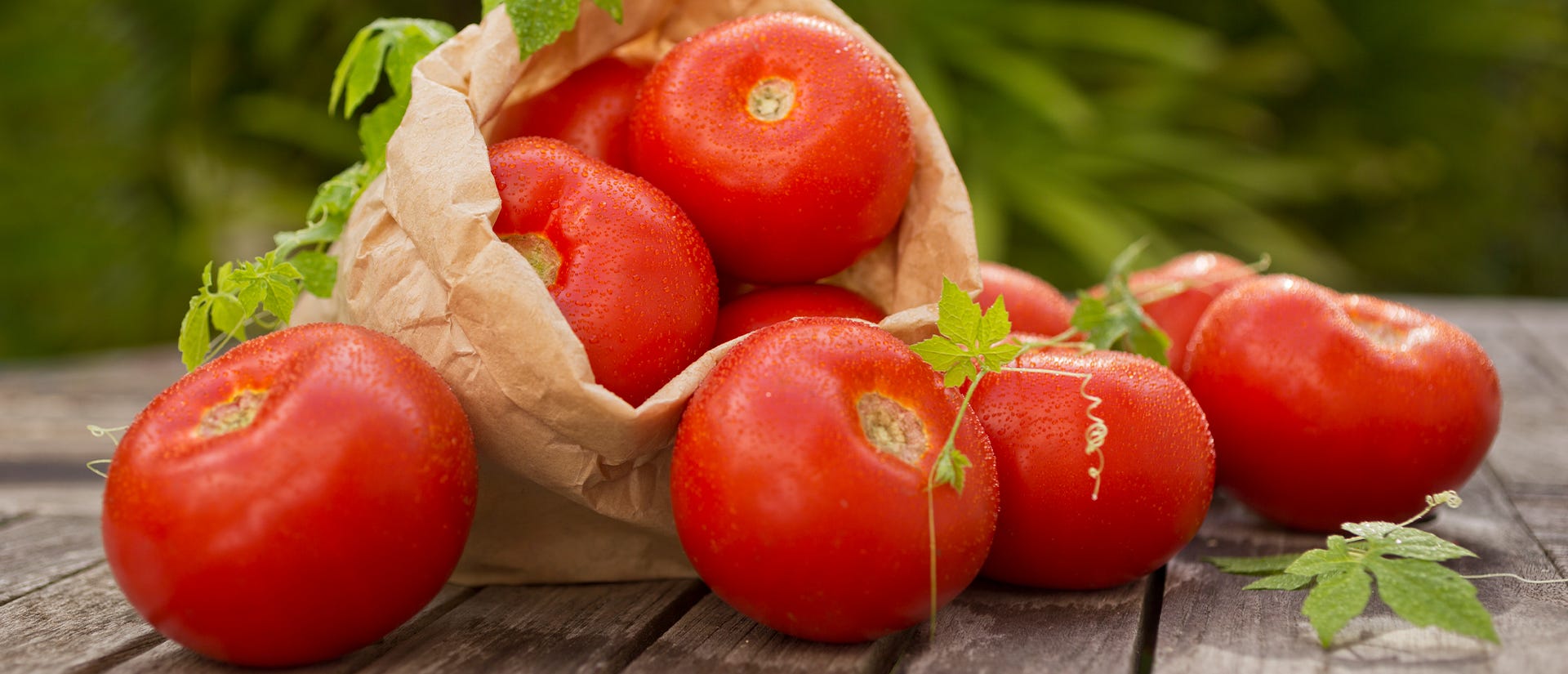 red and pink tomato health benefits