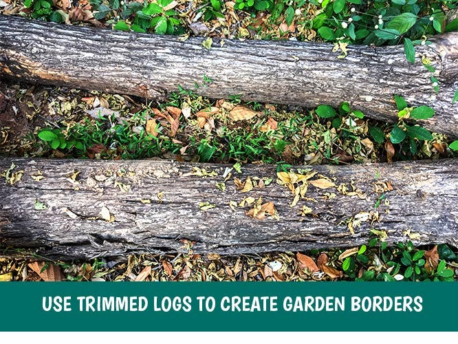 Logs can create helpful borders around your garden