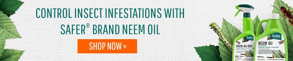 All about Potassium Soap and Neem Oil for plague control 