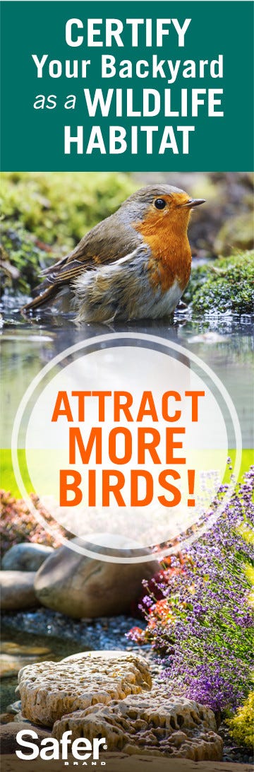 attract birds to garden certified wildlife habitat