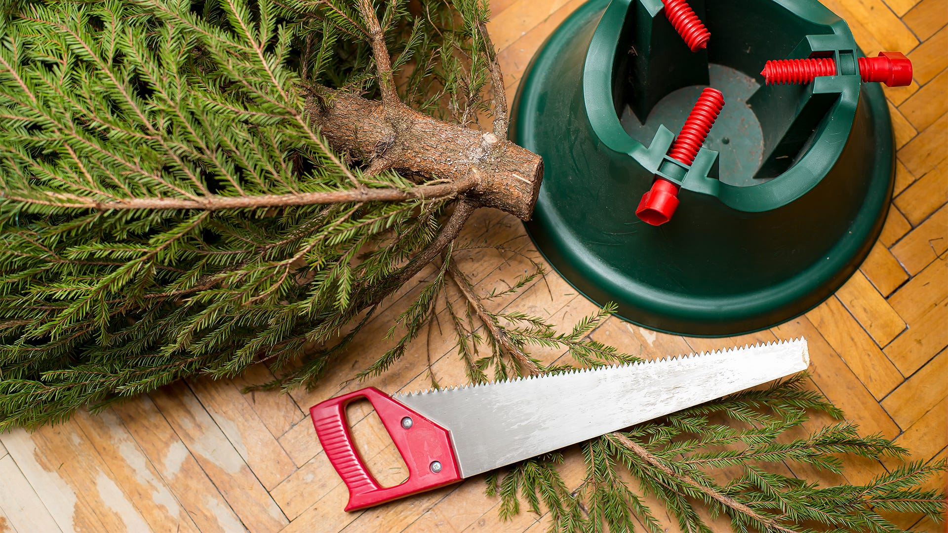How to Care for a Christmas Tree