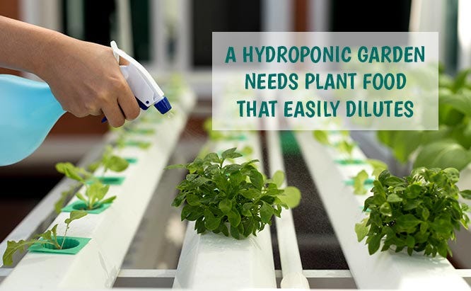 Hydroponic Gardens require certain plant food