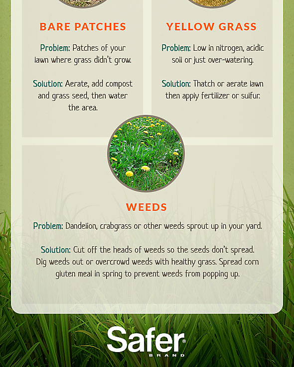 Organic Lawn Care, Part 3