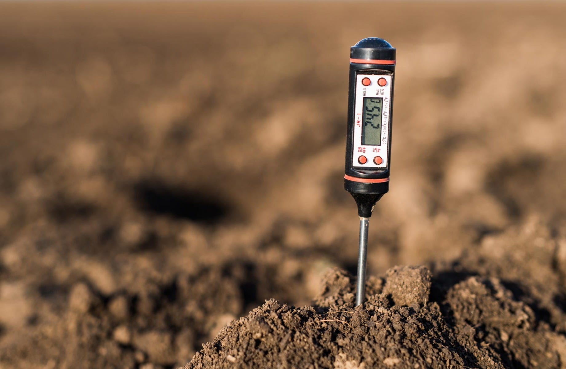 PH Meter in garden to measure soil acidity or alkalinity