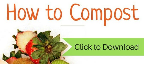 How to Compost Beginners Guide