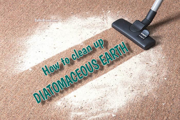 tips for diatomaceous earth clean up