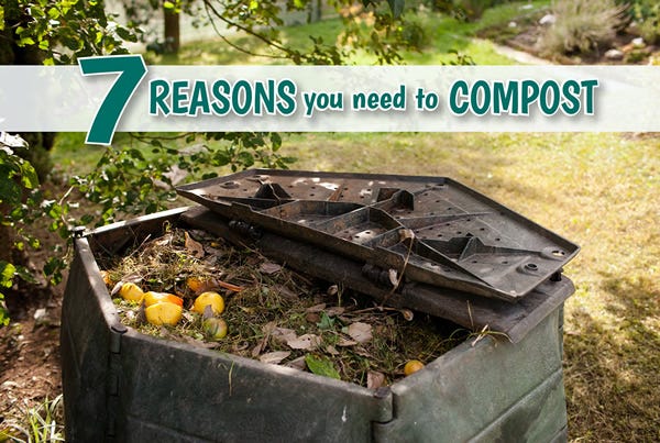 7 Reasons Compost