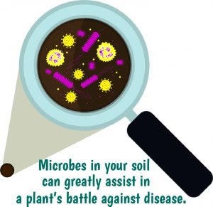 Microbes