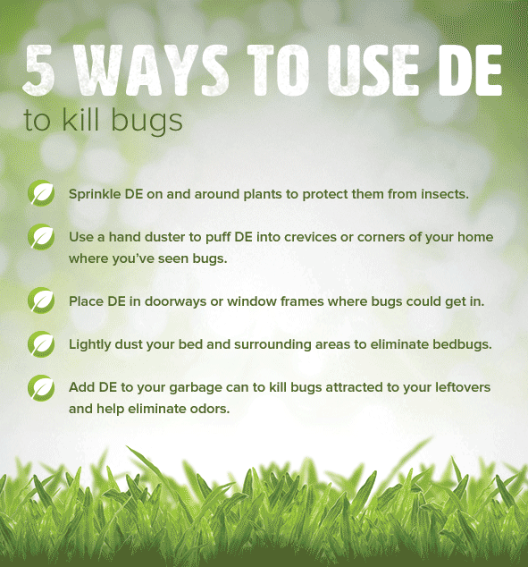 Ways to use DE to Kill Bugs