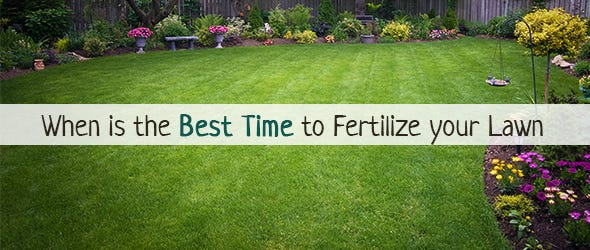 When is the best time to fertilize your lawn