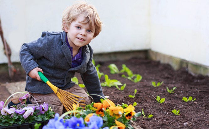 sb_us_kids_garden_shutterstock_254721265