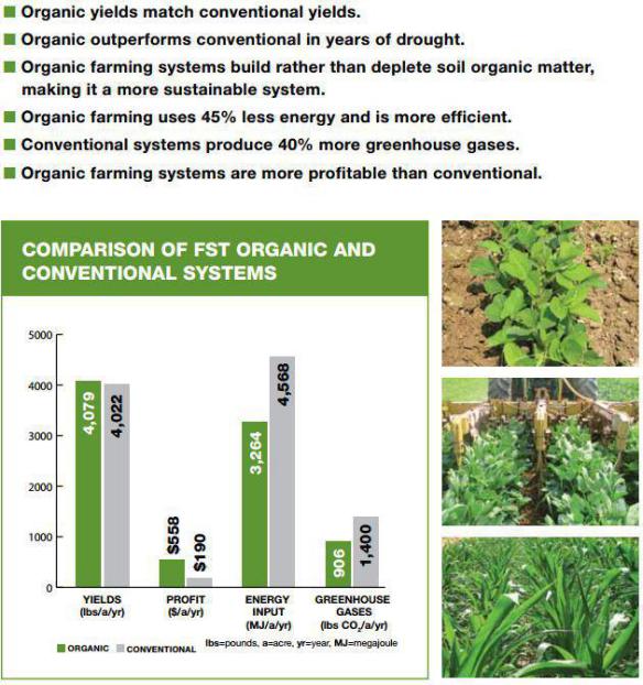 Comparison of oraganic vs conventional systems