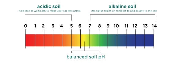 pH Scale