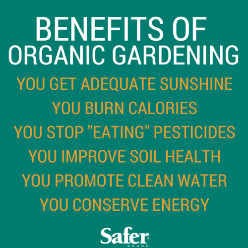 benefits of organic gardening