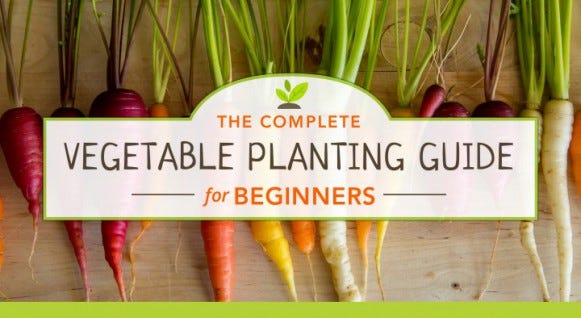 Vegetable Planting Guide