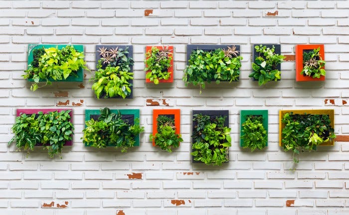 Garden Design Ideas - Vertical Gardens