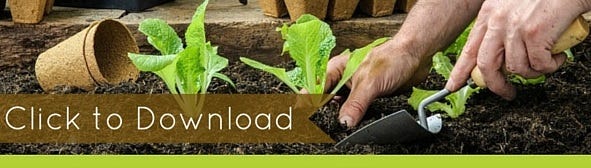 Download free guide on how to create an organic garden