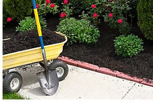 Mulch, along with a sunlight-blocking layer of paper can be a tremendously effective weed control method.