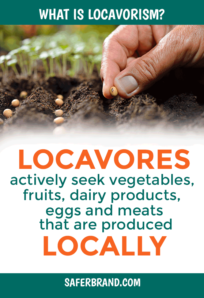 What are locavores? What is Locavorism?