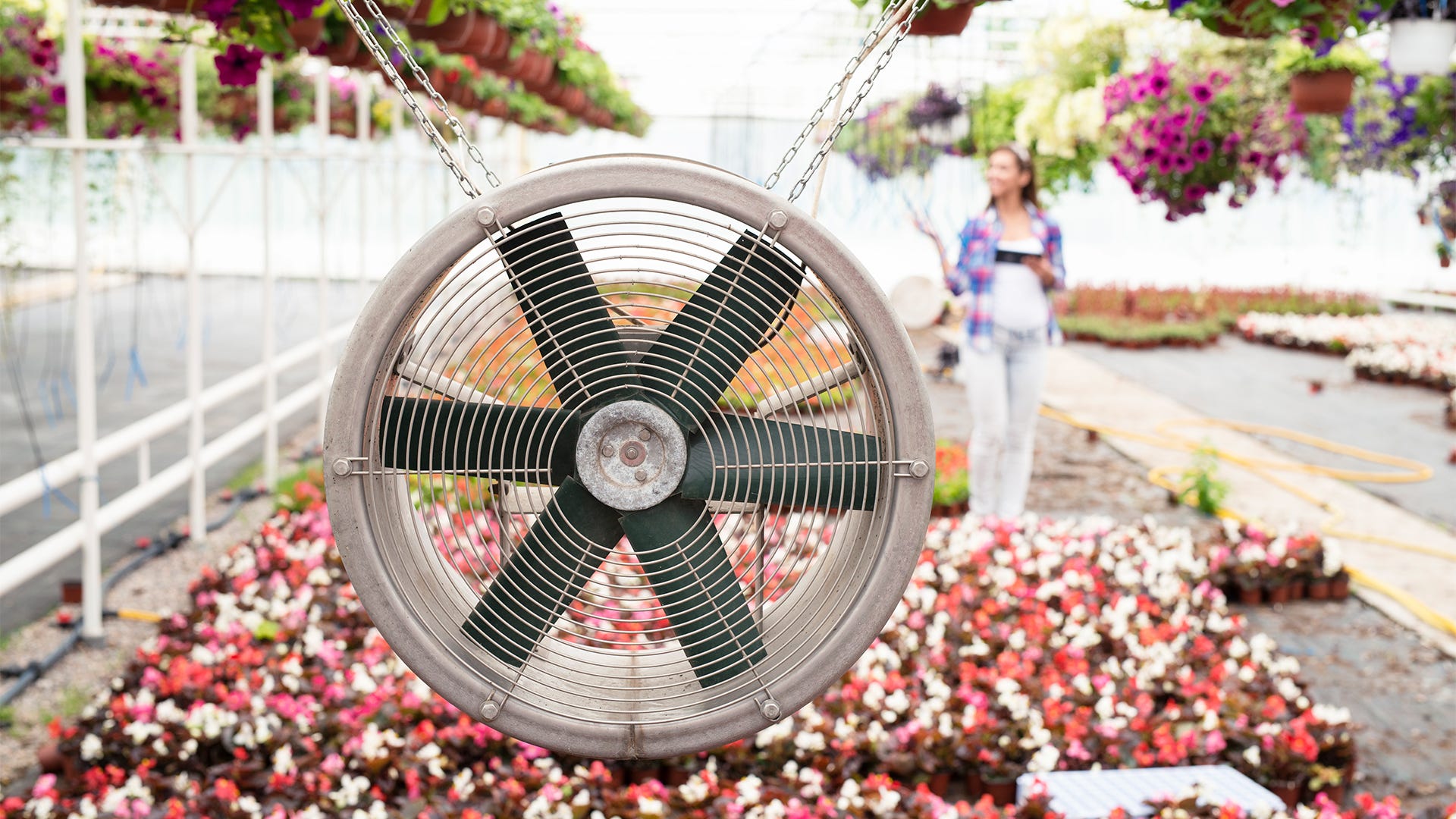 Why Do I Need A Fan In My Indoor Garden?