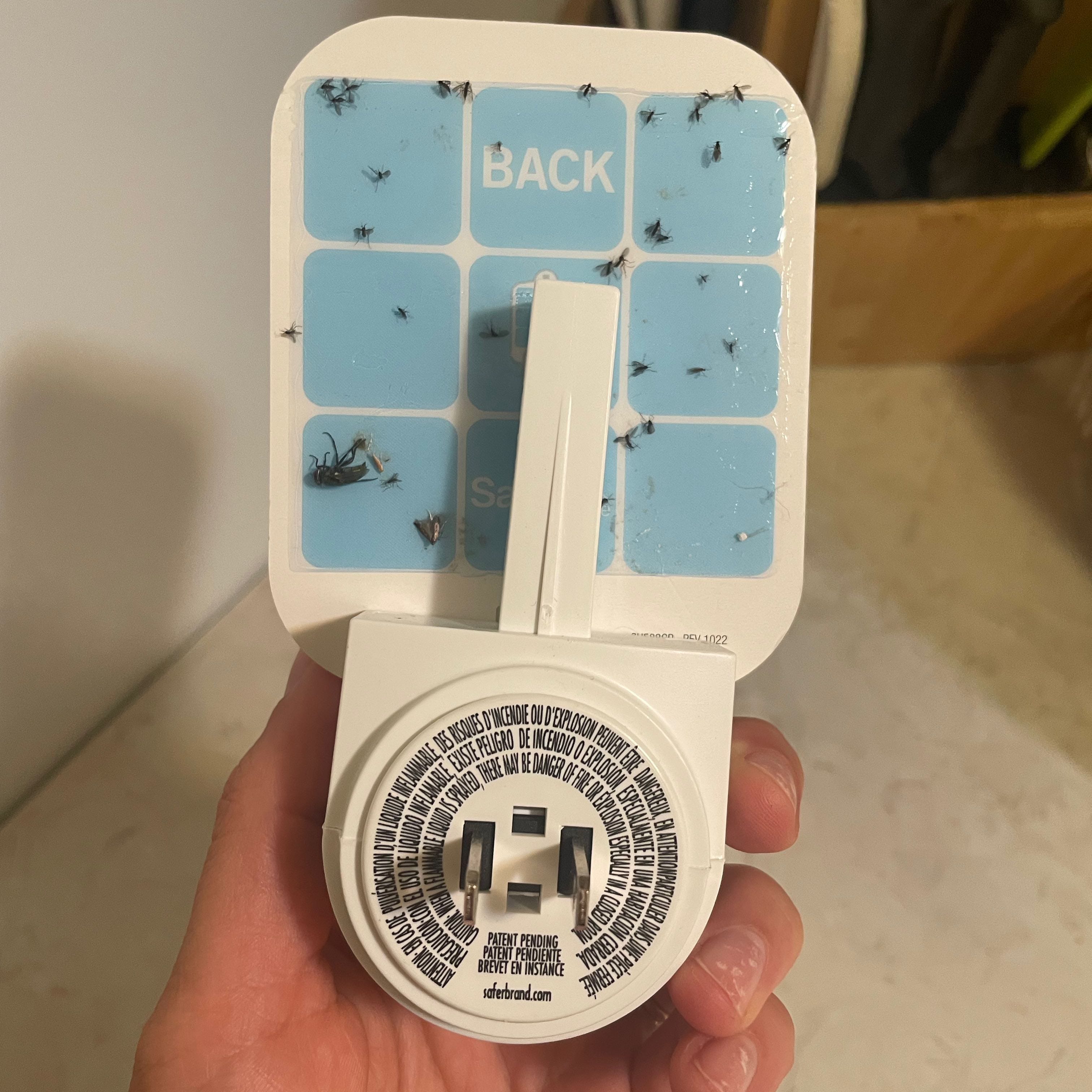 A real photo of  Safer® Home Indoor Fly Trap by Blown away (1)