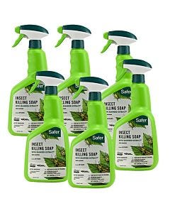 Safer® Brand Insect Killing Soap With Seaweed Extract - 6 Pack