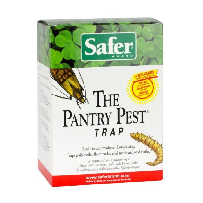 Pantry Pest Trap  Pantry Pest Pheromone Glue Trap - Free Shipping