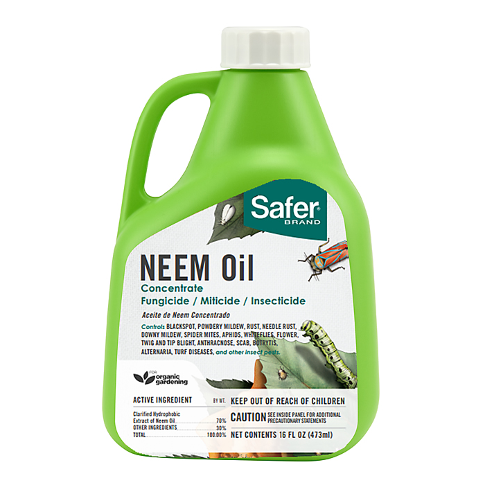 Neem oil deals insecticide